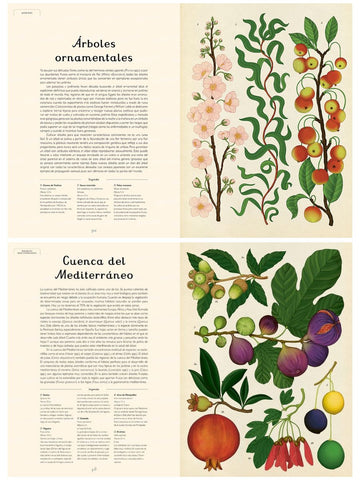 Arboretum  | Libro Ilustrado