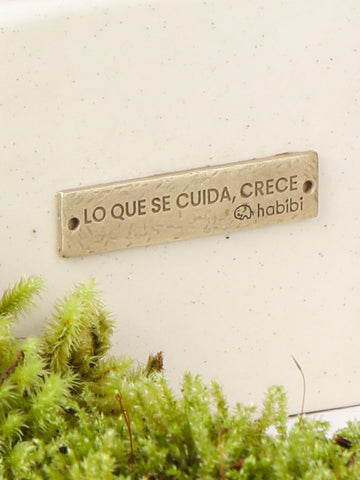 Orquidea "Lo que se Cuida, Crece" Orquidea "Lo que se Cuida, Crece"