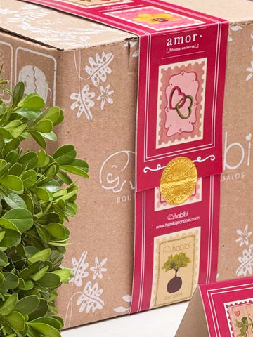 Kit Here Comes The Sun Kit Here Comes The Sun