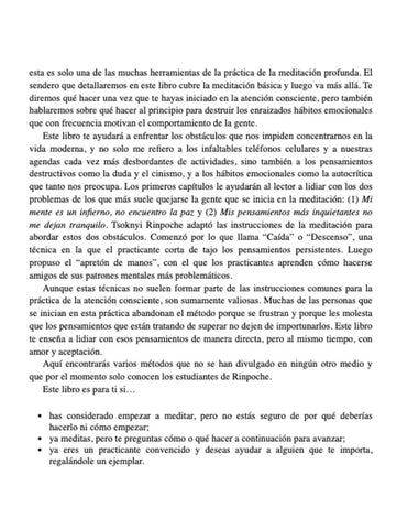 Por Qué Meditar Por Qué Meditar