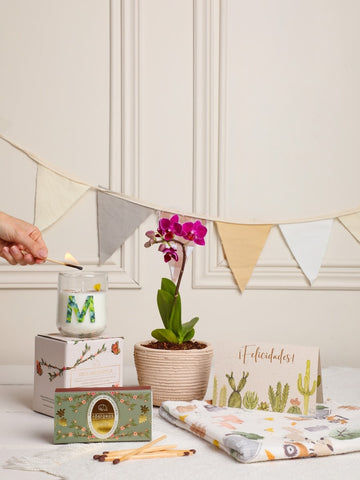 Kit Armonia Kit Armonia