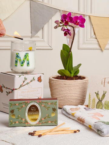 Kit Armonia Kit Armonia