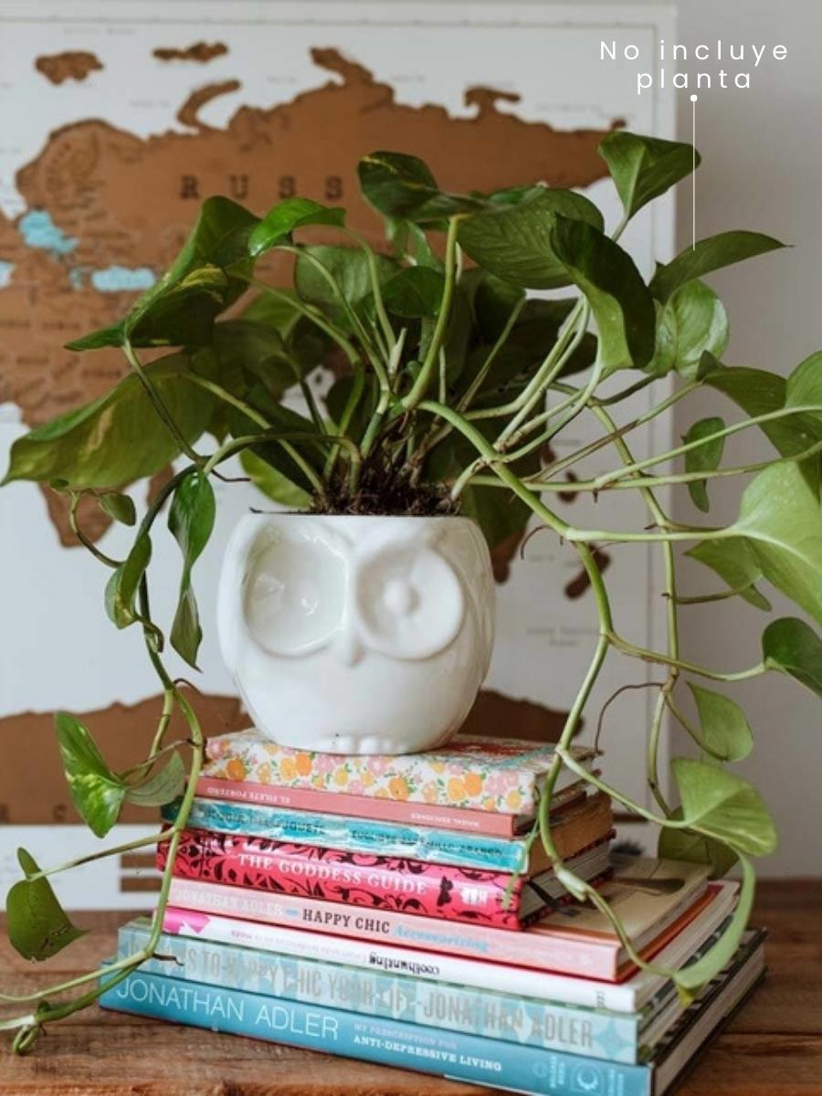 maceta-ceramica-para-plantas-de-interior-maceta-buho-cuidados-de-plantas-decoracion-del-hogar-con-plantas-purificadoras-miami-potos-habibi-plantitas.jpg maceta-ceramica-para-plantas-de-interior-maceta-buho-cuidados-de-plantas-decoracion-del-hogar-con-plantas-purificadoras-miami-potos-habibi-plantitas.jpg
