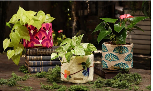 Entre hilos y alas: El Pellón de La Guajira en homenaje a las aves de Colombia