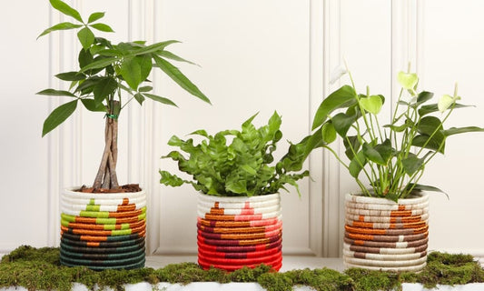 Técnica Guacamayas: Tejiendo los relieves de Colombia en paja y fique