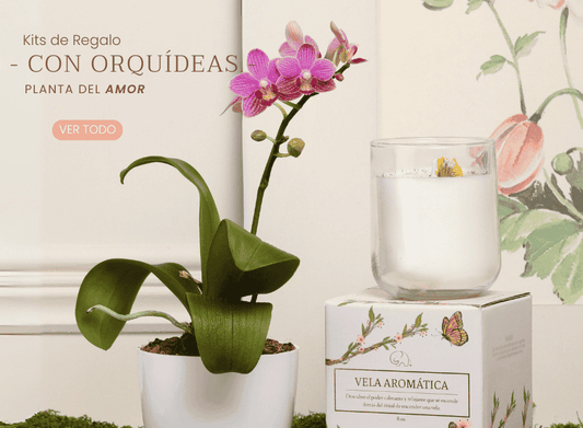 Mensajes de Aniversario y Propuesta para Amor y Amistad