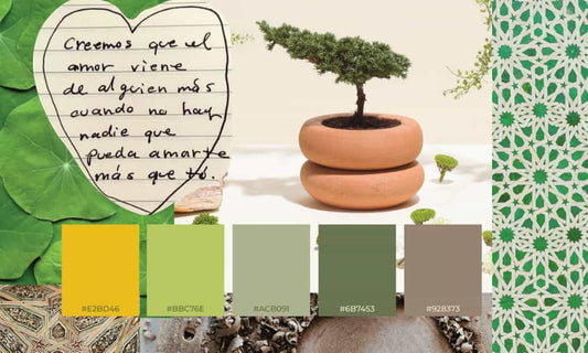 ¿Cuáles son los conceptos básicos de las plantas bonsái? Todo lo esencial