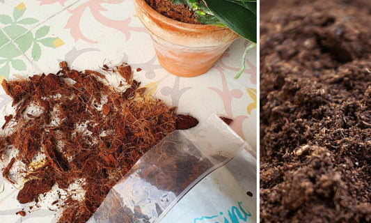Mejores sustratos para plantas: Guía completa para elegir el adecuado