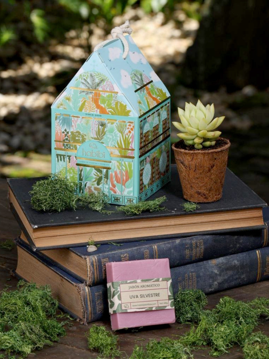 • Casita Bosque Aromático