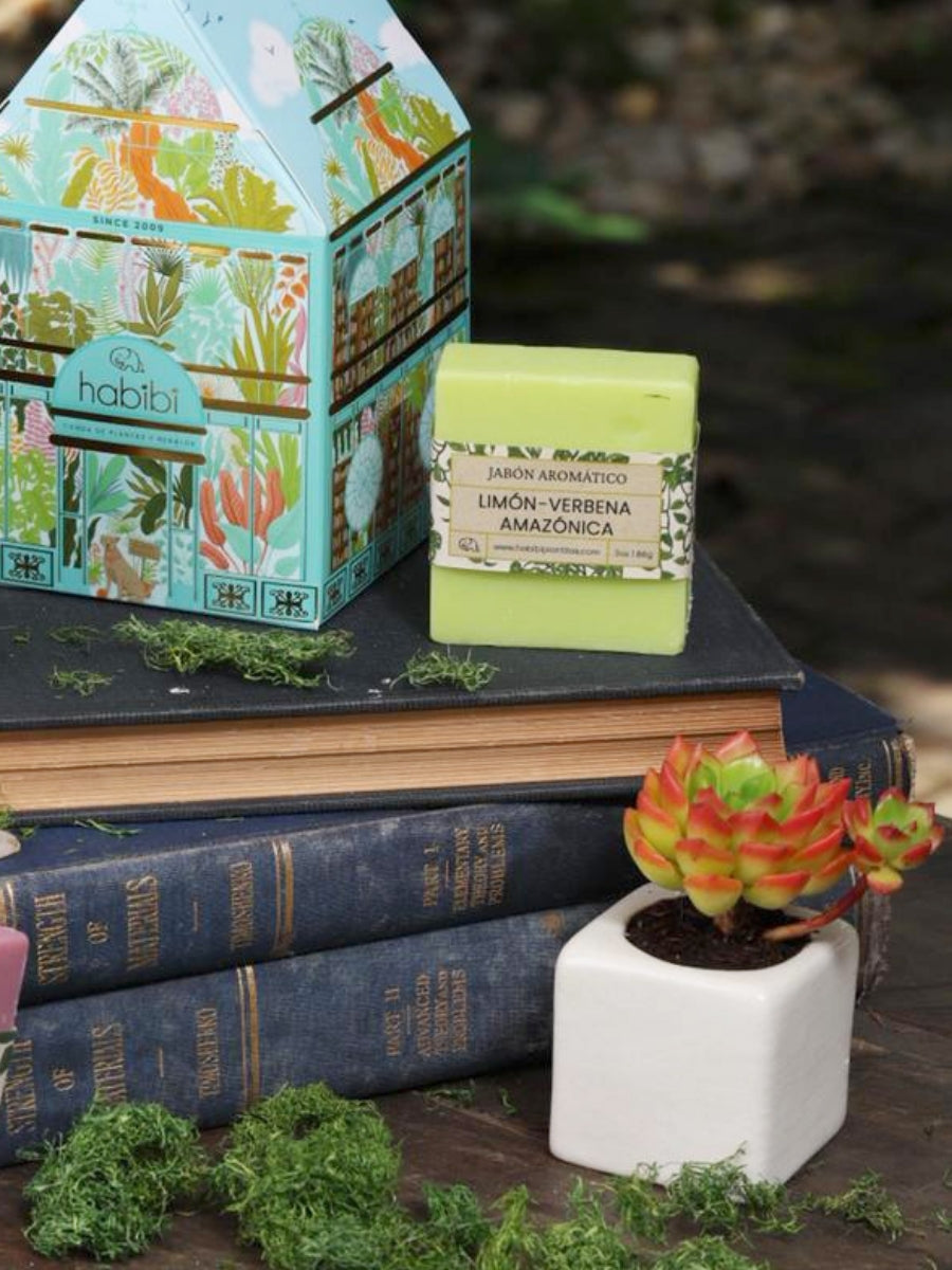 • Casita Jardin Tropical