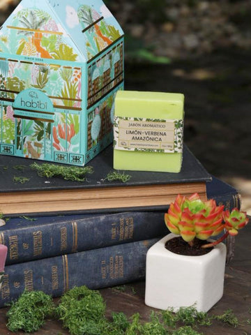 • Casita Jardin Tropical