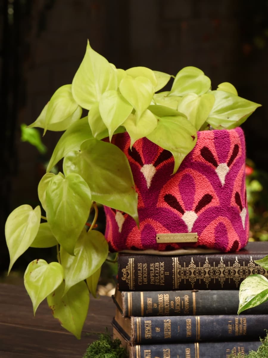 Decobag Copetona con Planta Purificadora