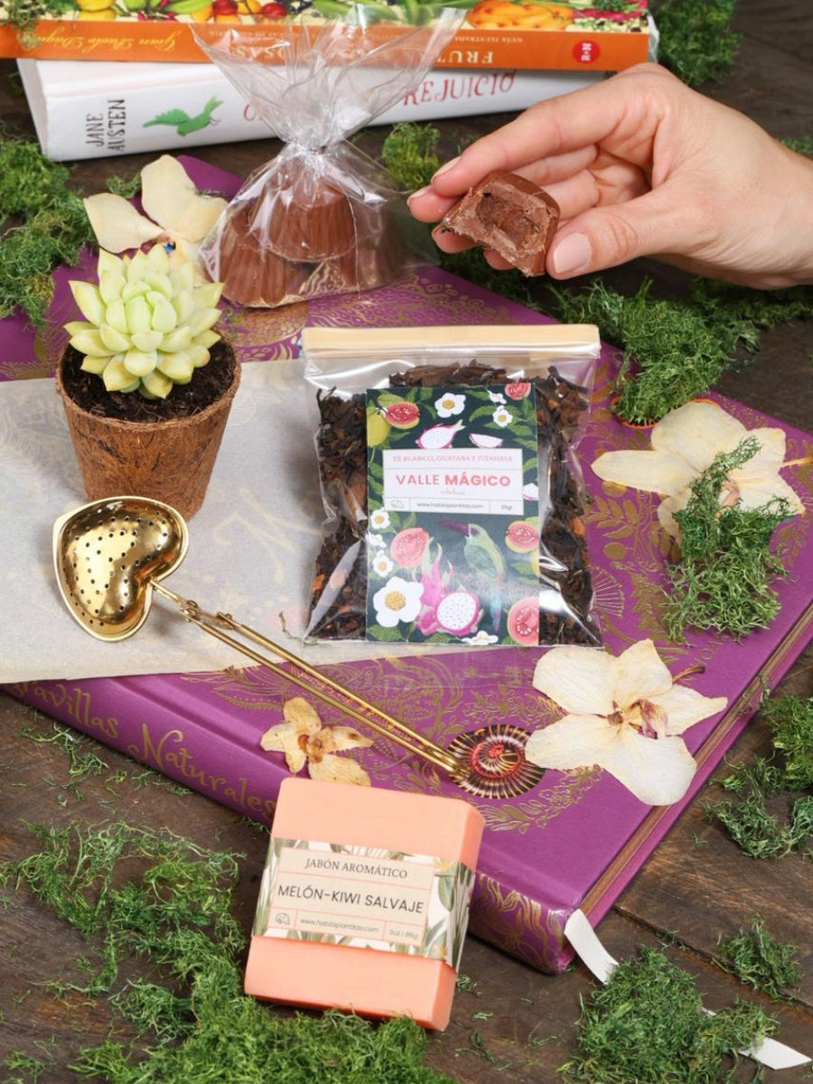 • Kit Bosque Tropical