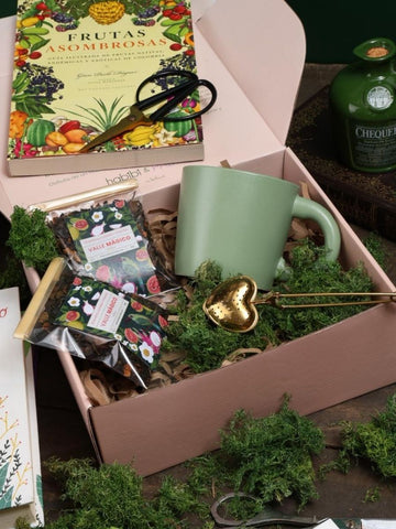 • Set de Té Premium Valle Mágico + Pocillo