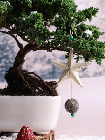 Kit Santa's Butterfly Garden