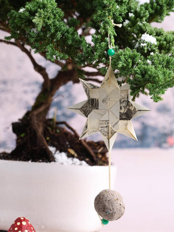 Kit Santa's Butterfly Garden