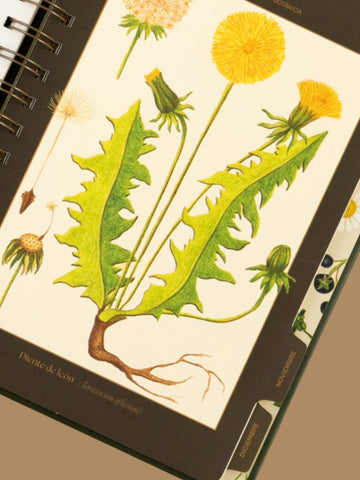 Agenda 2026 Compañia Botánica - Herbario (Semanal)