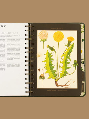 Agenda 2026 Compañia Botánica - Herbario (Semanal)