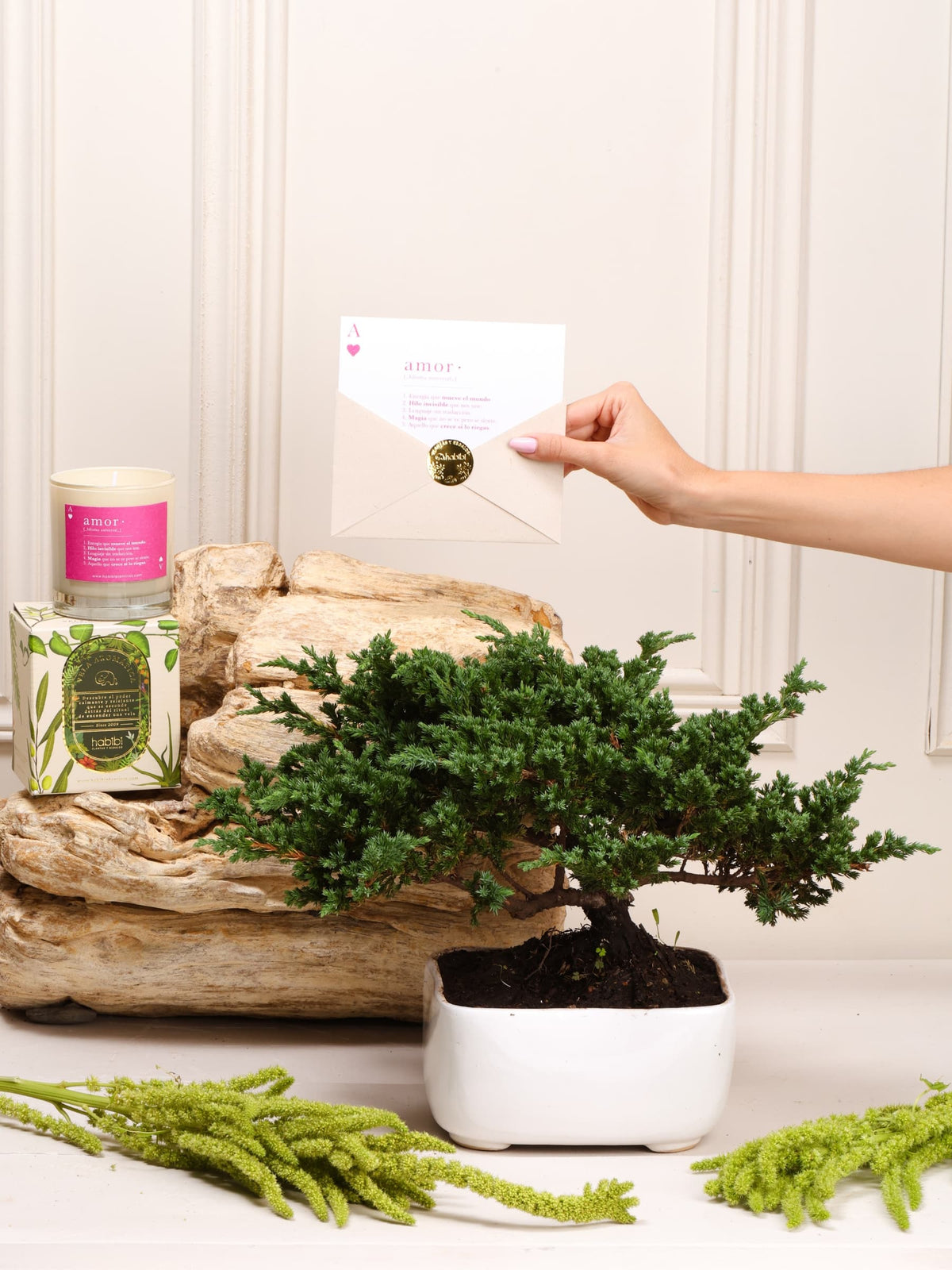 Kit Amor Infinito: bonsái de pino ikigai de 7 años en maceta decorativa de cerámica, vela aromática con nuestra definición de Amor y postal en sobre, sobre el fondo de la temporada Cartas de Amor.