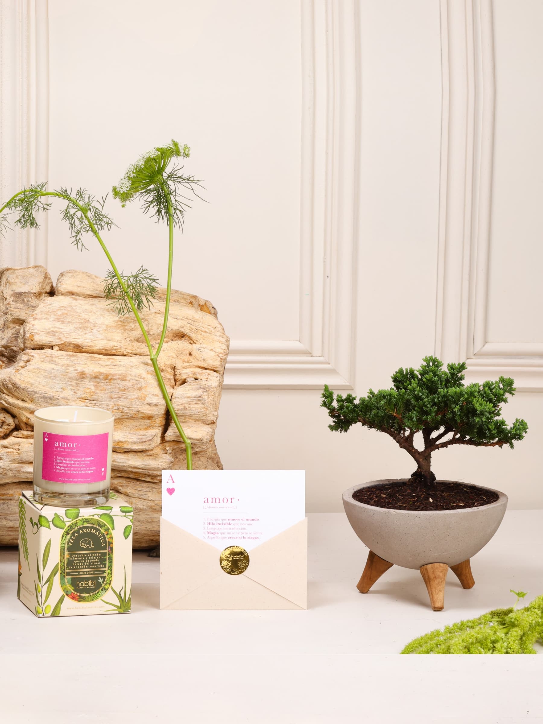 Kit Media Naranja: bonsái de pino Sakura sembrado en un bowl de concreto gris con patas de madera, vela aromática con la definición de Amor y postal en sobre, sobre fondo de la temporada Cartas de Amor.