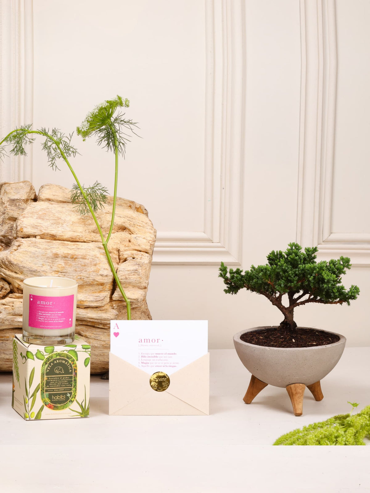 Kit Media Naranja: bonsái de pino Sakura sembrado en un bowl de concreto gris con patas de madera, vela aromática con la definición de Amor y postal en sobre, sobre fondo de la temporada Cartas de Amor.