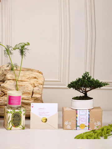 Kit Flechazo: bonsái de pino Sakura en matera de cerámica blanca, vela aromática con la definición de Amor y postal en sobre, sobre fondo de la temporada Cartas de Amor.