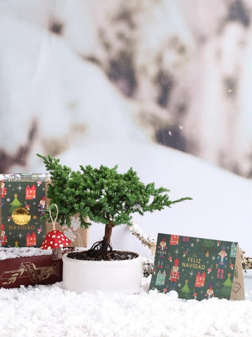 • Kit Magia Encantada