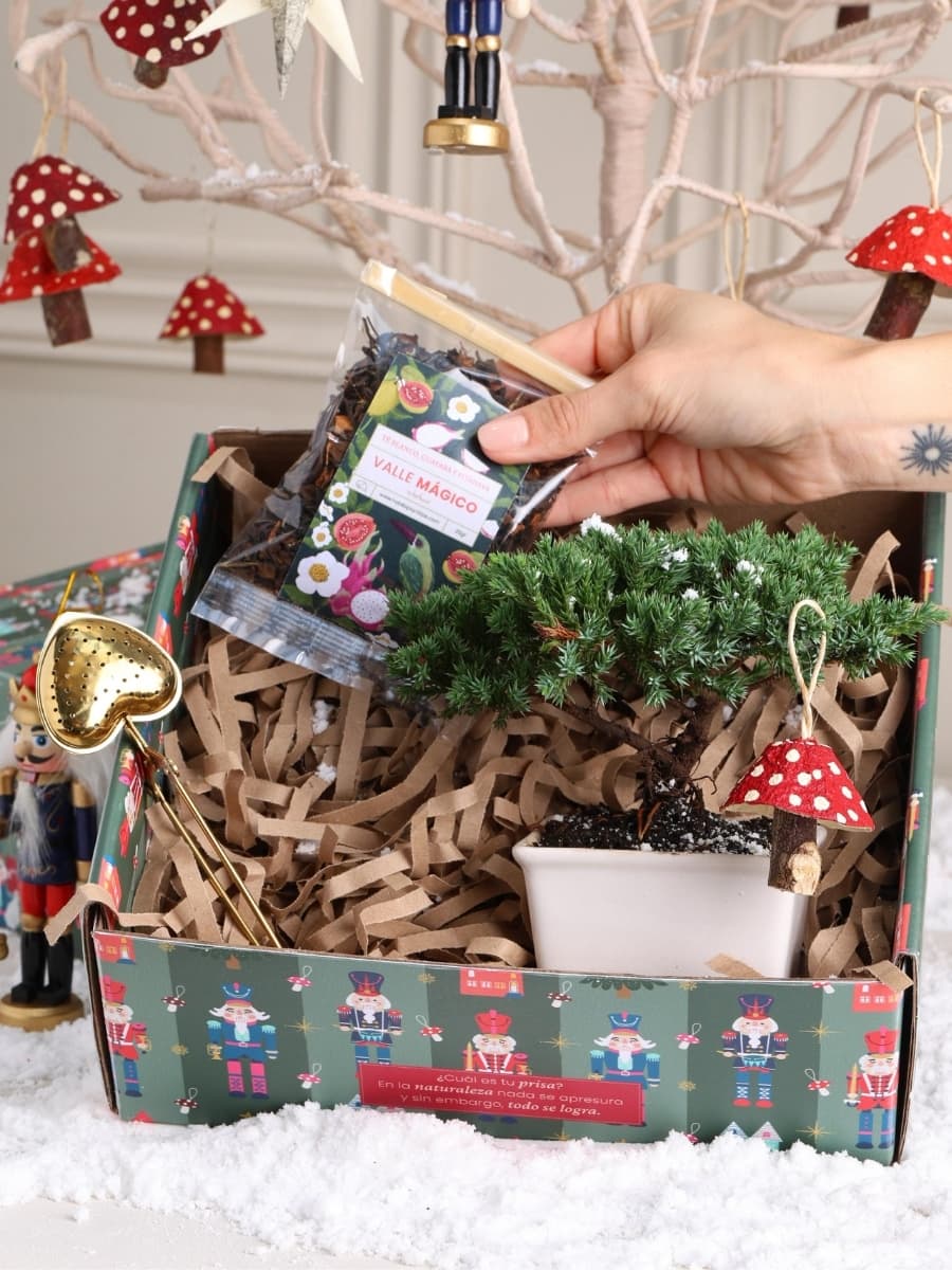 • Kit Aroma del Valle