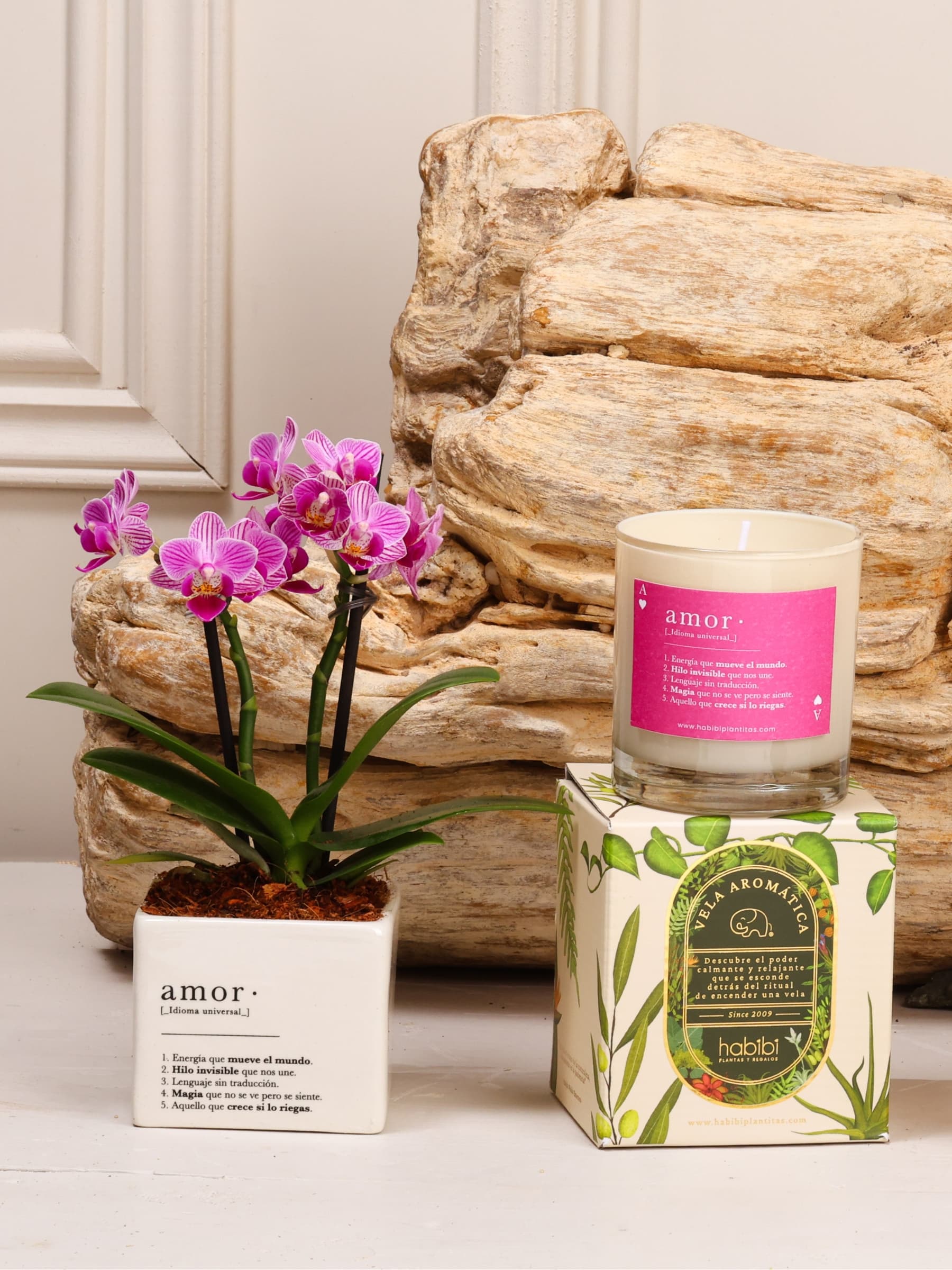 Kit Enamorados: orquídea baby sembrada en matera de cerámica blanca estampada con la definición de Amor, junto a la vela Cupido, sobre fondo de la temporada Cartas de Amor.