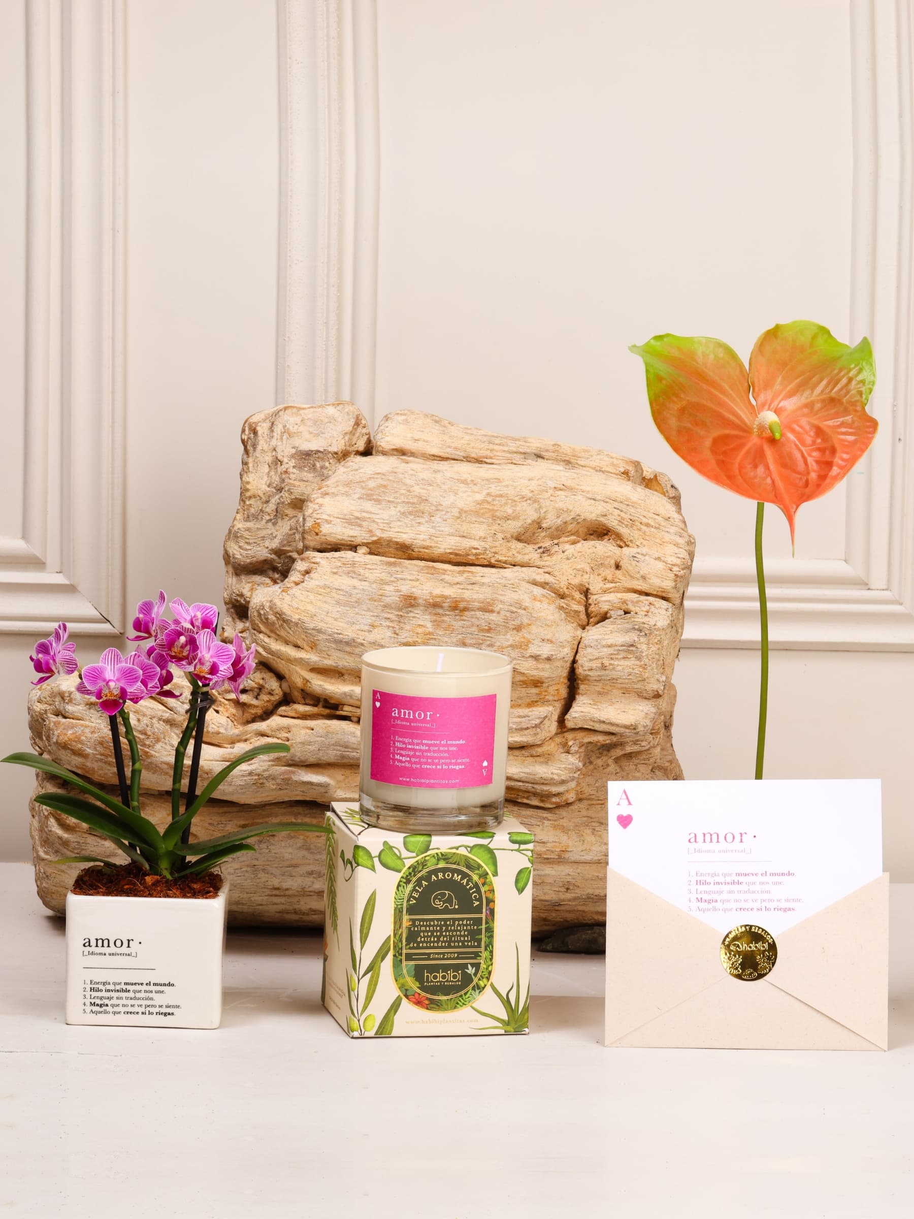 Kit Cupido: orquídea baby sembrada en matera de cerámica blanca estampada con la definición de Amor, junto a la vela Cupido y la postal de Amor, sobre fondo de la temporada Cartas de Amor.