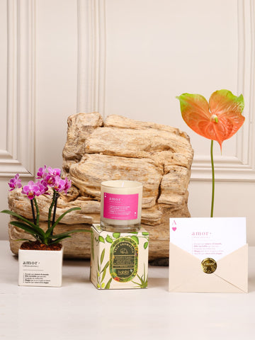 Kit Cupido: orquídea baby sembrada en matera de cerámica blanca estampada con la definición de Amor, junto a la vela Cupido y la postal de Amor, sobre fondo de la temporada Cartas de Amor.