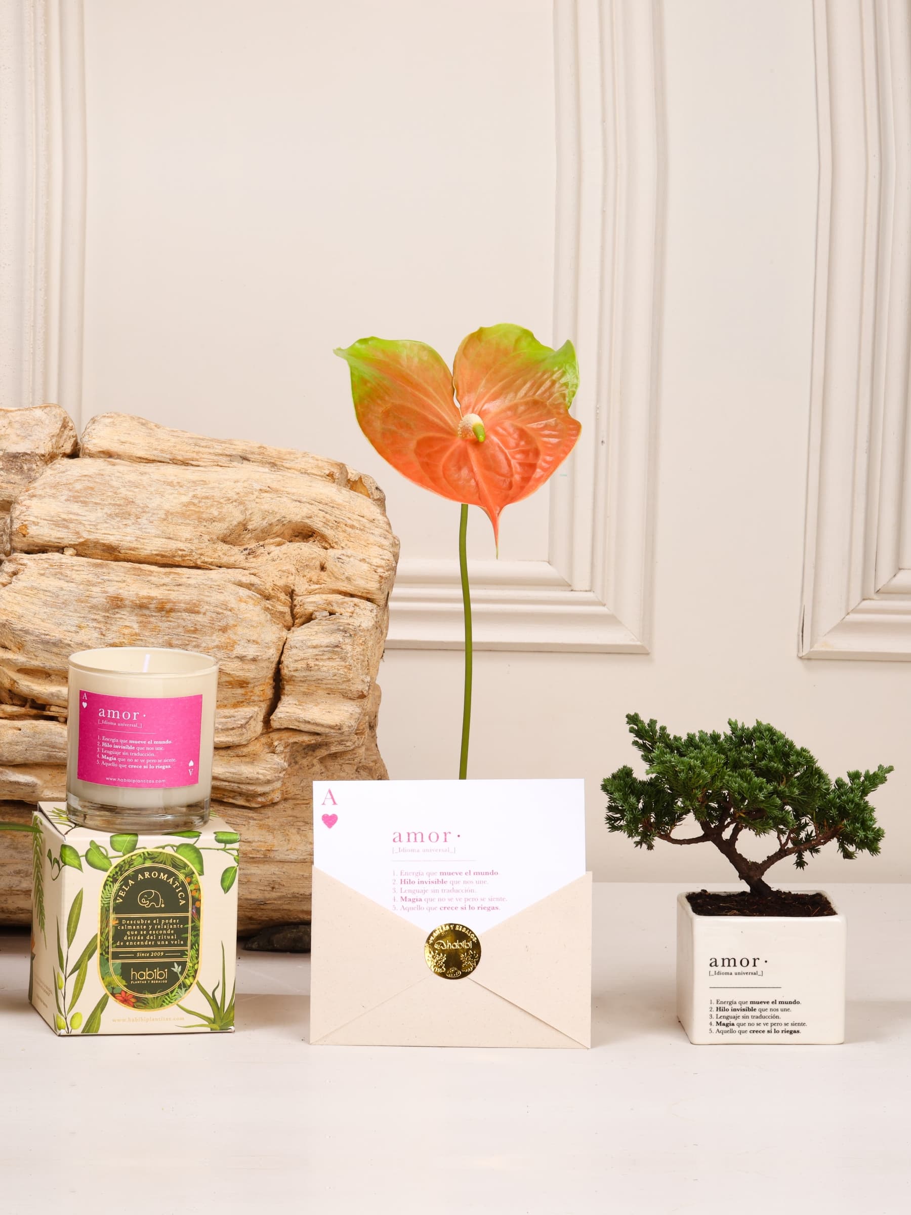Kit Amor Perfecto: mini bonsái de pino Wabi Sabi de 2 años en matera de cerámica blanca estampada con la definición de Amor, Vela Cupido con cristal de cuarzo y postal en sobre, sobre fondo de la temporada Cartas de Amor.