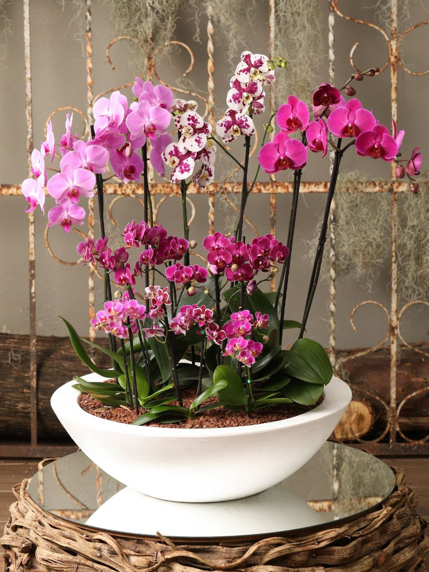 Floristería | Tienda de flores, plantas y regalos a domicilio. – Habibi, image size:870x1160