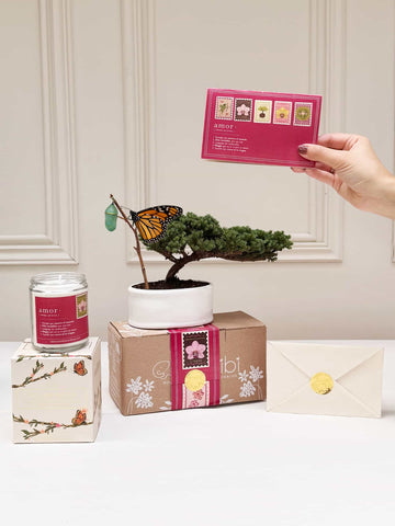 Kit Cartas de Amor