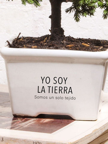 Mini Bonsai, Yo Soy La Tierra