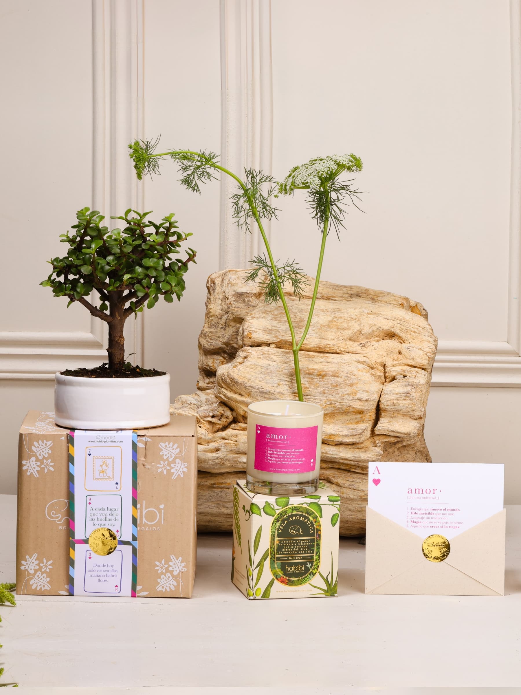 Kit As de Corazones: bonsái de jade en matera de cerámica blanca, vela aromática con la definición de Amor, postal con el as de corazones en sobre y caja Habibi con el empaque de regalo de la temporada Cartas de Amor.