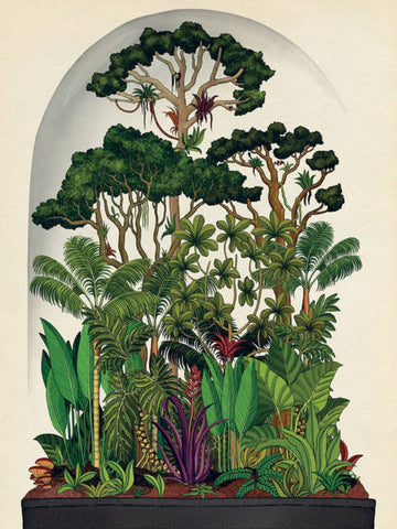 • Botanicum | Libro Ilustrado