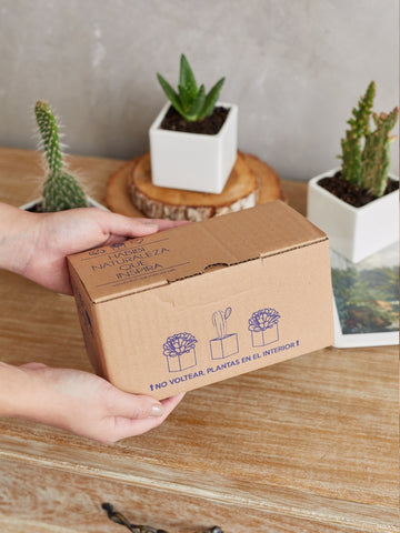 • Kit Magia Amazónica