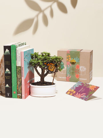 Kit Botánico con Libro para Mamá