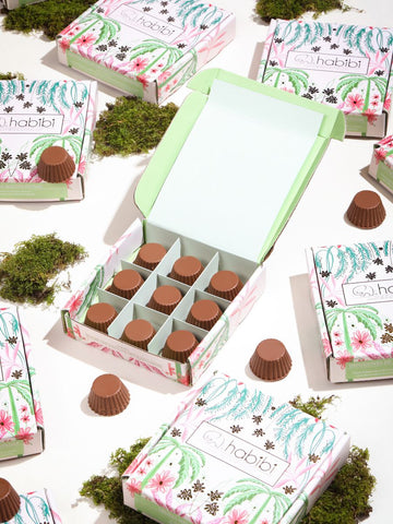 • Bonsai de Pino con Trufas