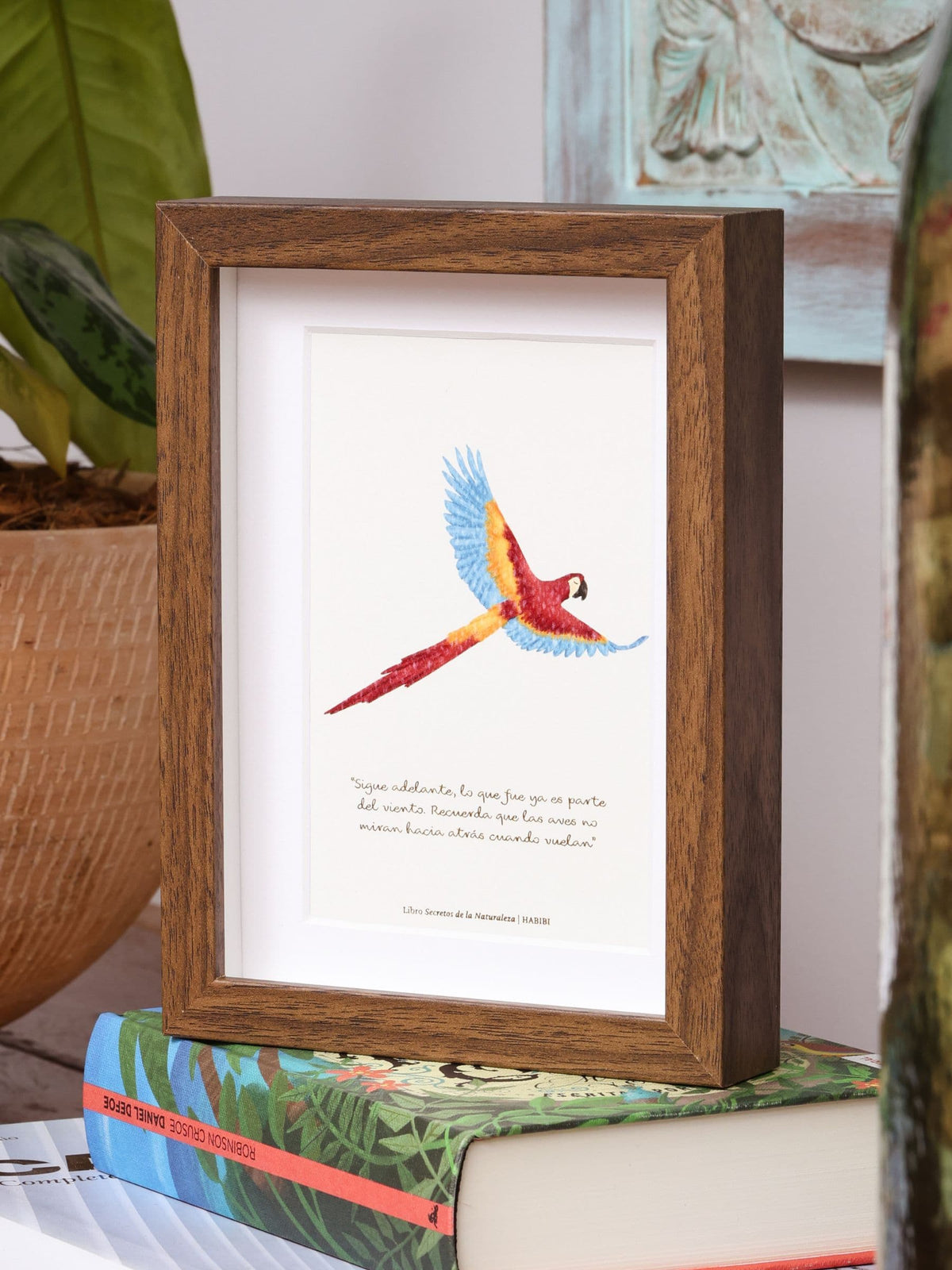 • Obra Guacamaya Ilustrada No. 16