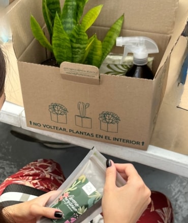 Bienestar con plantas para equipos