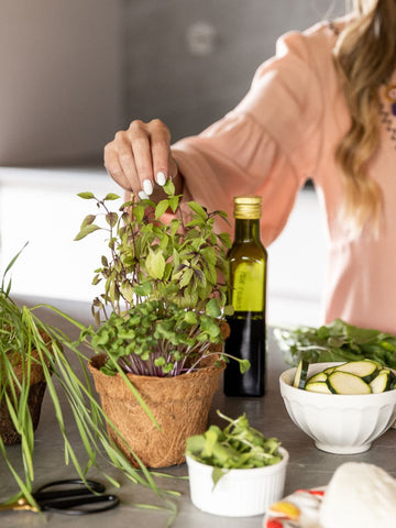 •  Experiencia Siembra Tu Huerta en Casa