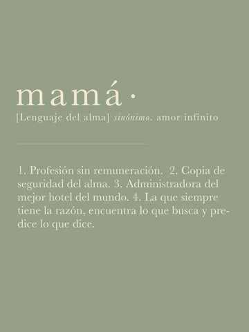 Matera Mamá con Suculenta o Cactus