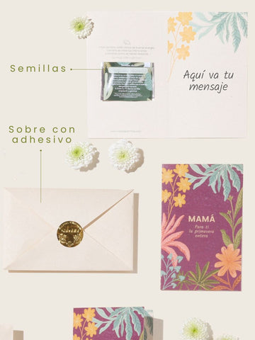Orquídea con 3 Crisalidas, Transformación Sublime