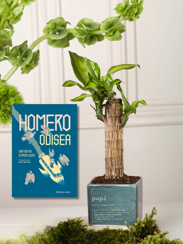 Dracaena con Libro para Papá (Odisea)