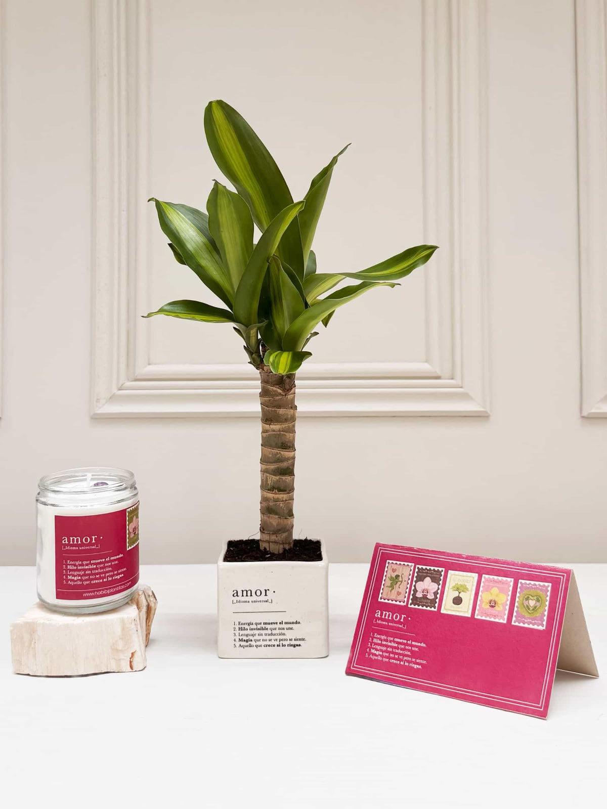 Kit Here Comes The Sun