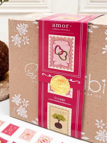 Empaque de Regalo Amor y Amistad