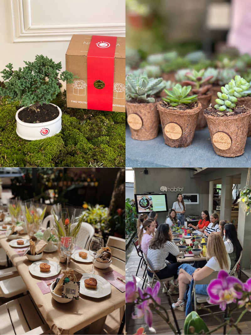 Experiencias de Marca y Productos para Eventos y Lanzamientos