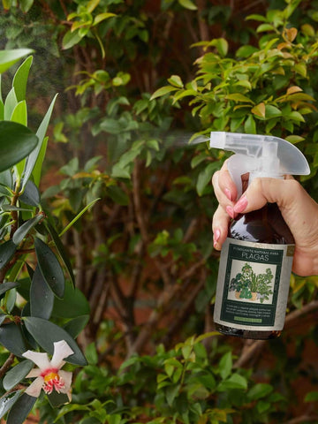 Fumigante Natural para Todo Tipo de Plagas